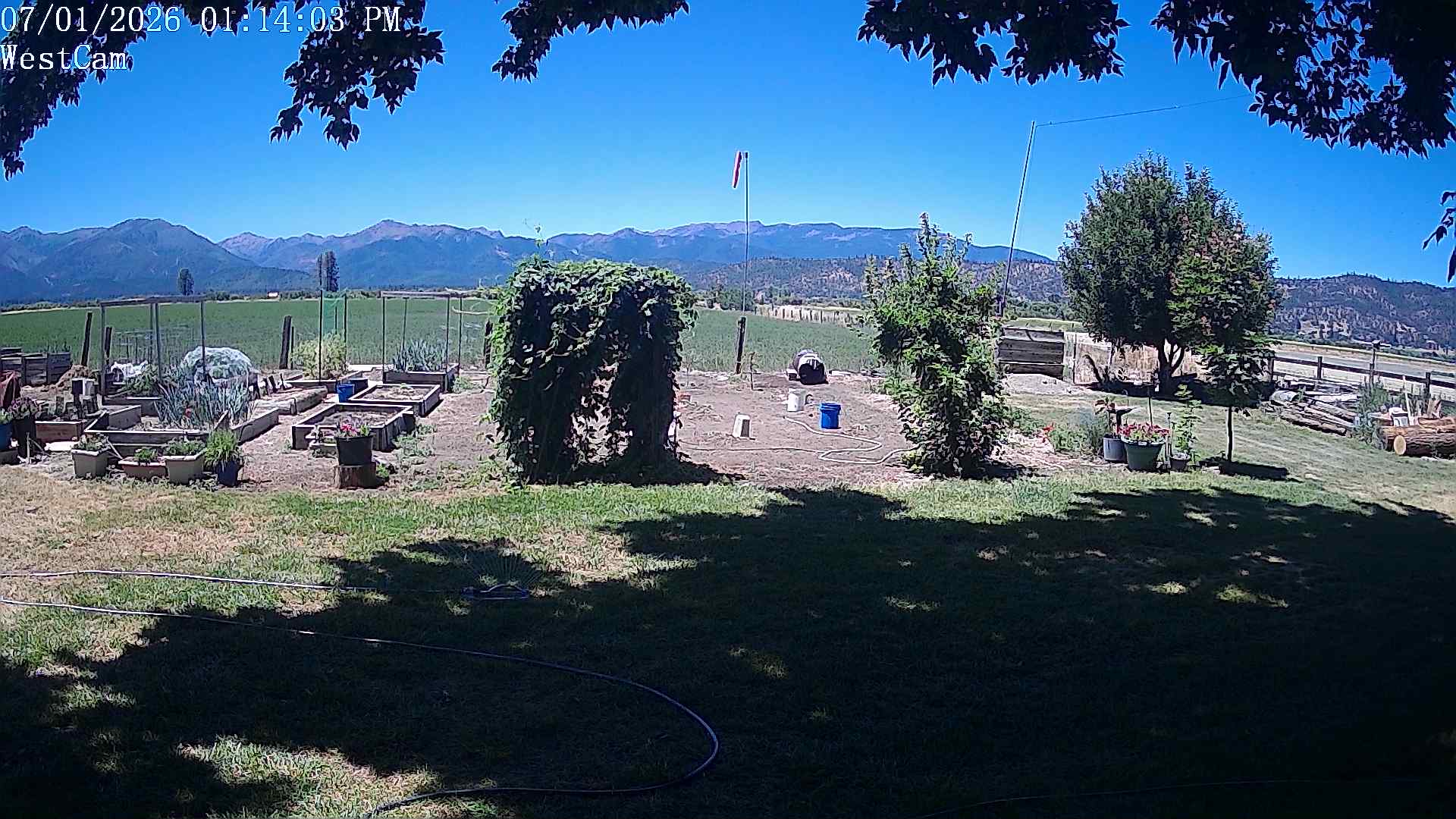Camera 1