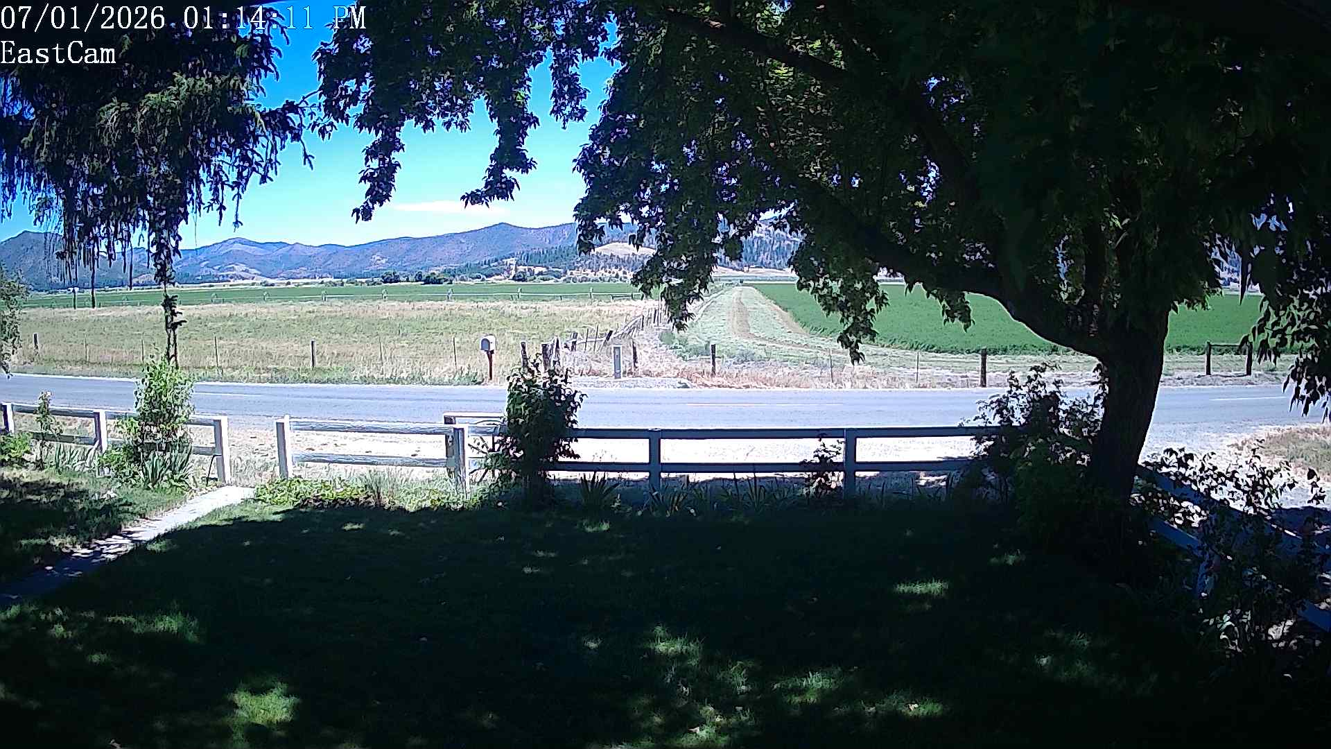 Camera 4